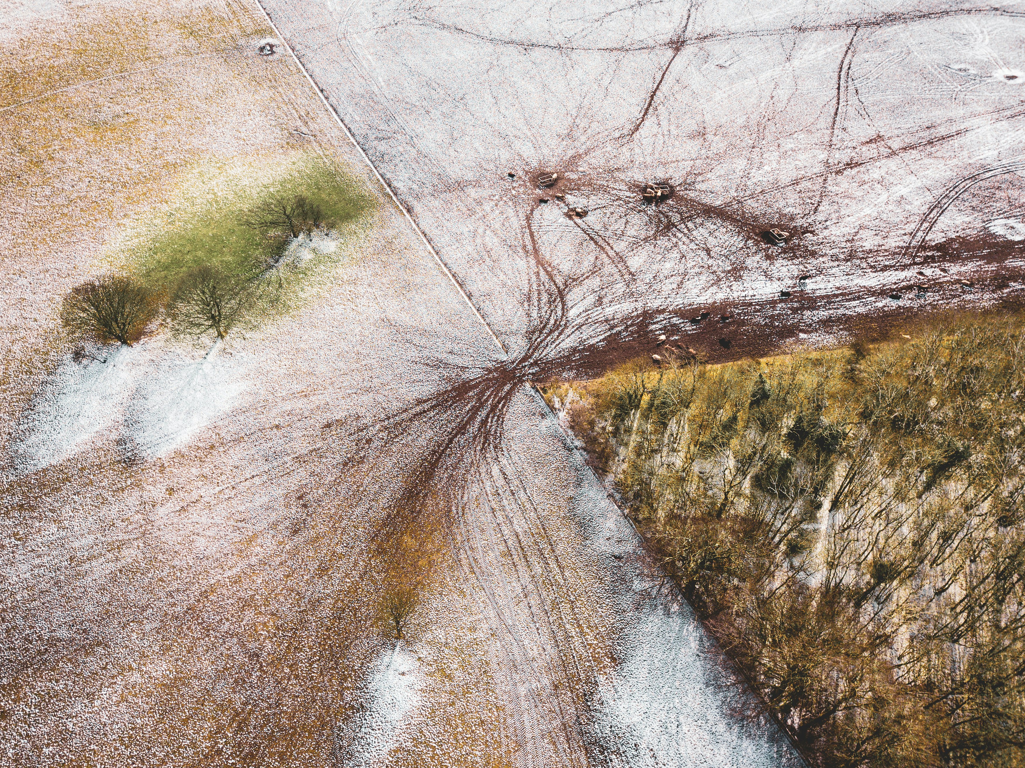 aerial photography of trees and road at daytime